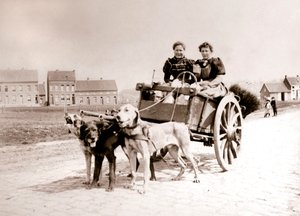 Hunder som trekker kvinner på en vogn, Antwerpen, 1898.