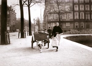 Kvinne med hundevogn, Rotterdam, 1898.