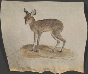 Brødre og søstre av James Bruce