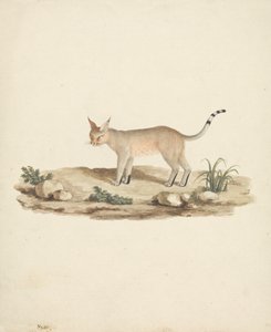 Oppstartet Lynx av James Bruce