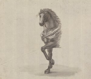 Studie av forsiden av en hest av James Bruce