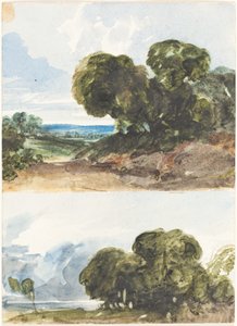 To skisser av trær av James Bulwer