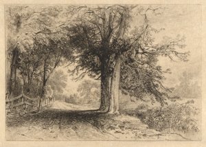 A Farm Lane, januar 1887, opus 2 av James David Smillie