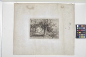 Landskap (etsing, chine collé)