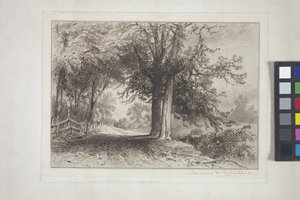 Landskap (etsing, chine collé)