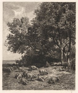 Sauer på beite av James David Smillie