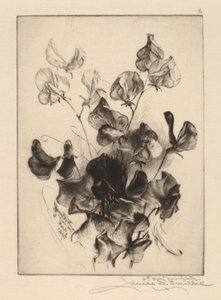 Sukkererter av James David Smillie