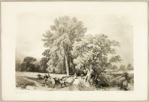 Abele og eik, fra Parken og skogen av James Duffield Harding