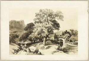 Ask og eik, fra Parken og skogen av James Duffield Harding