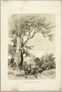 Bøk og eik (Frontispiece), fra The Park and the Forest av James Duffield Harding