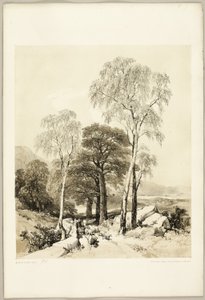 Bjørk og eik, fra Parken og Skogen av James Duffield Harding