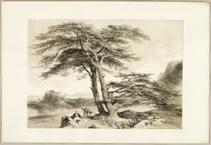  av James Duffield Harding