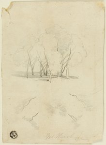 Klump av trær av James Duffield Harding