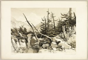 Lerk, fra Parken og Skogen av James Duffield Harding