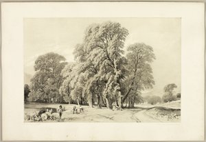 Plate Trees, fra Parken og Skogen av James Duffield Harding