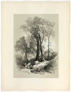 Shipley Bridge, Devon, fra Picturesque Selections av James Duffield Harding