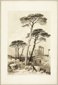 Stone Pines, fra The Park and the Forest av James Duffield Harding
