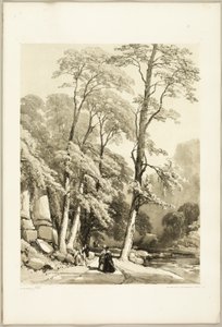 Sycamore, fra The Park and the Forest av James Duffield Harding