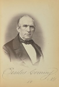  av James Earle McClees