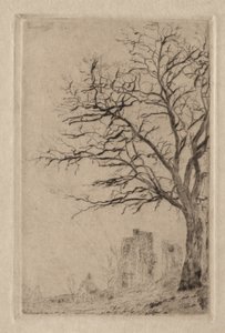 Akasie av James Ensor