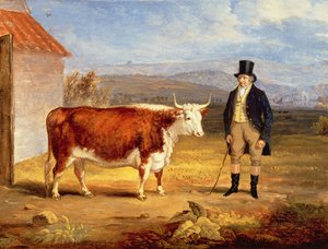 Mr James Hodges og hans to år gamle Hereford kvige, ca. 1843 av James Flewitt Mullock