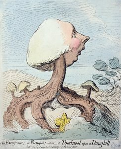 En utvekst; En sopp; Alias - A Toadstool upon a Dung-hill, utgitt av Hannah Humphrey i 1791 (etsing med wc)