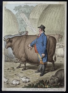 Fat Cattle, utgitt av Hannah Humphrey i 1802 (håndfarget etsning)