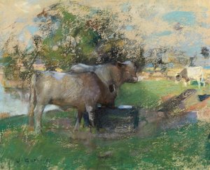 Beiteland (pastell på papir)