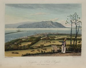 Kingston og Port Royale av James Hakewill