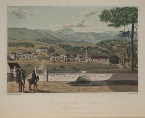 Montpelier Estate, St. James's