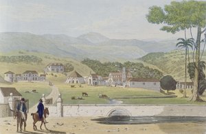 Montpelier Estates, St James, fra 