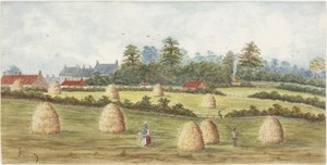 Chirton fra Meadowell Farm (akvarell og kroppsfarge på papir)