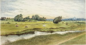 Ryton Meadows (akvarell og kroppsfarge på papir)
