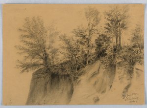 Cliff and Trees, Vicksburg, Miss.