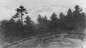Landskap fra McGuire Scrapbook, 1908.