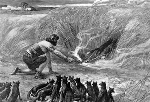 Samson and the foxes av J James Tissot - Bibelen