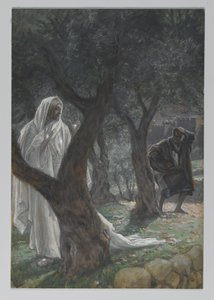 Åpenbaring av vår Herre til Saint Peter, illustrasjon fra The Life of Our Lord Jesus Christ, 1886-94 (wc over grafitt på papir) av James Jacques Joseph Tissot