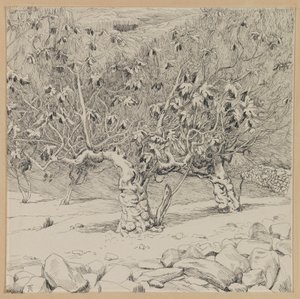 Fikentre, Hinnoms dal, illustrasjon fra Vår Herre Jesu Kristi liv (blekk på papir) av James Jacques Joseph Tissot