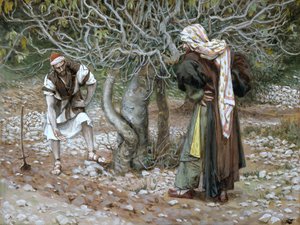 The Barren Fig Tree, illustrasjon for The Life of Christ, ca. 1886-94 (wc & gouache på papp) av James Jacques Joseph Tissot