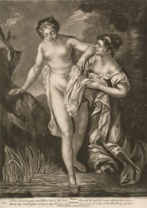 Venus bader