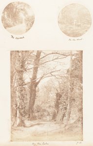 Tilnærmingen, i skogen, ved sjøen, 1853-56. av James Knight