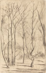 Damskogen av James Abbott McNeill Whistler