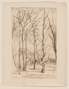 Damskogen av James Abbott McNeill Whistler