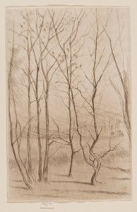 Damskogen av James Abbott McNeill Whistler