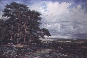 Bradgate Park nær Leicester, akvarell