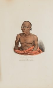  av James Otto Lewis