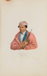  av James Otto Lewis