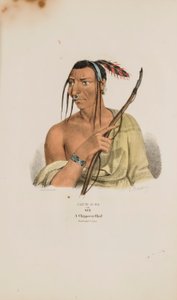  av James Otto Lewis