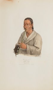  av James Otto Lewis