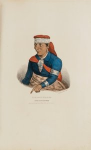  av James Otto Lewis